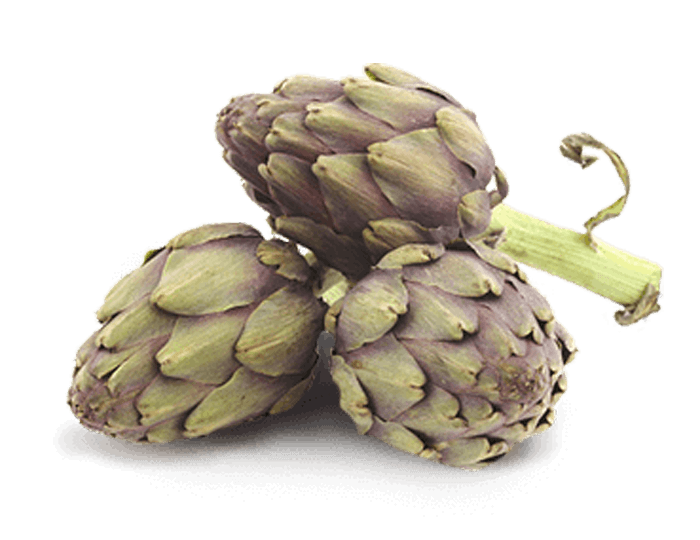 Artichoke Ingredient Image